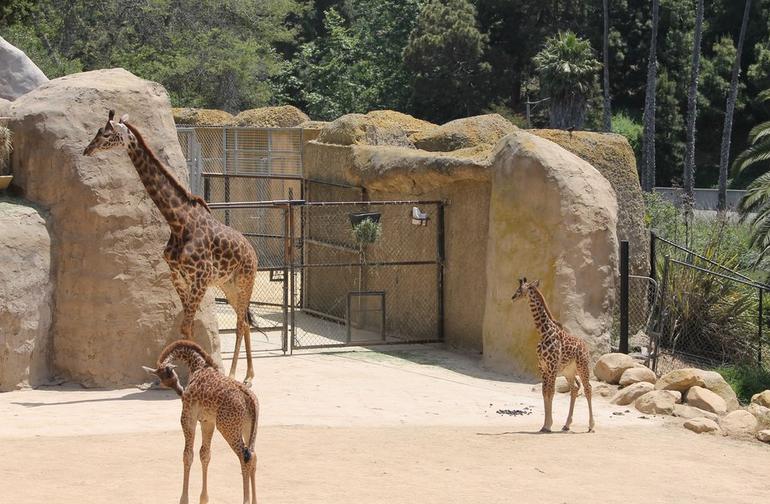 Santa Barbara Zoo