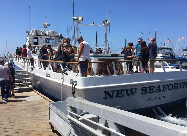 Seaforth Sportfishing San Diego