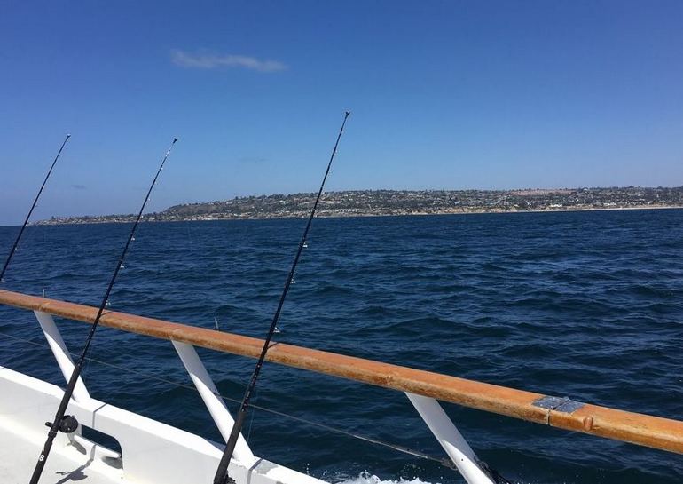 Seaforth Sportfishing San Diego