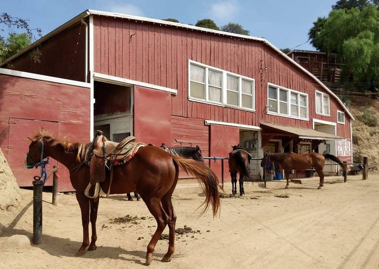 Sunset Ranch Hollywood Stables