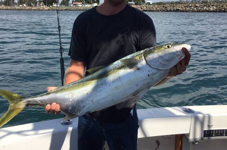 Southern California Sports Fishing