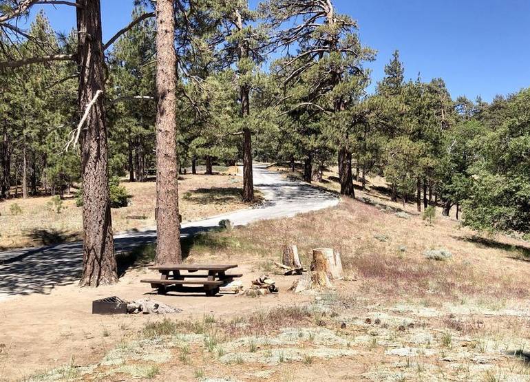 Table Mountain Campground Wrightwood CA