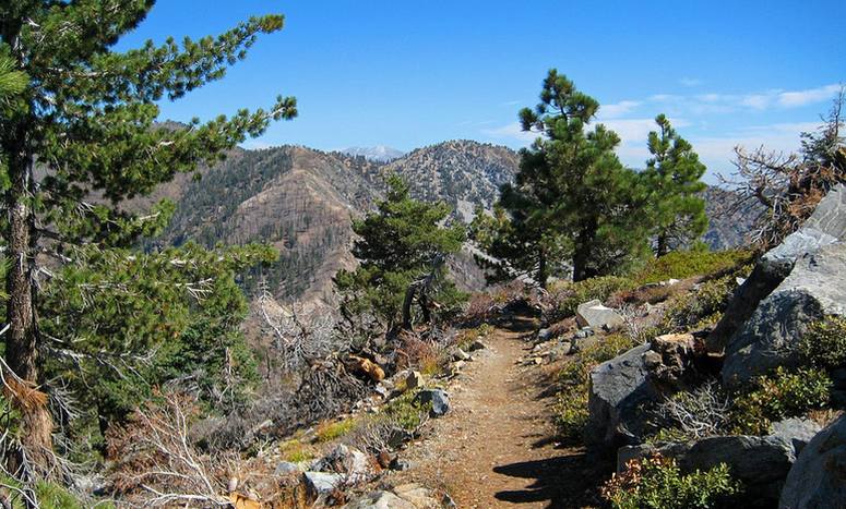 Table Mountain Wrightwood Nature Trail