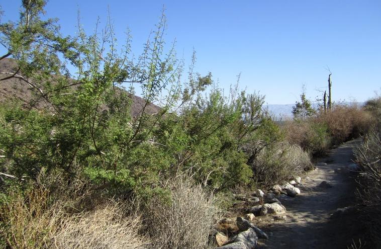 Tahquitz Canyon Palm Springs