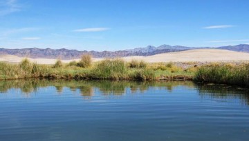 Tecopa Hot Springs Death Valley Side Trip