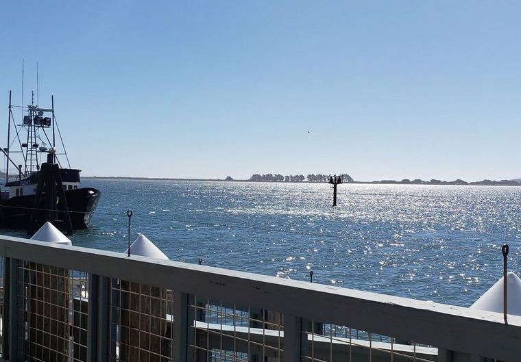 View from The Tides Wharf  Restaurant