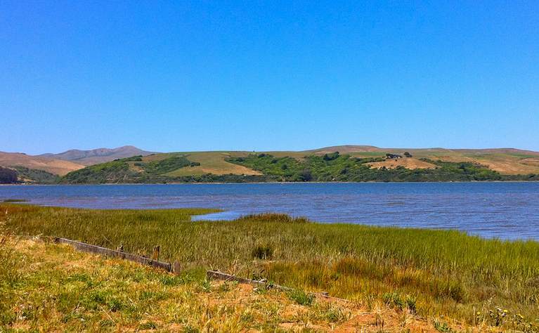 Tomales Bay