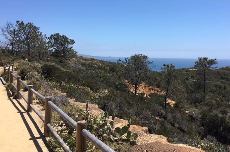 Torrey Pines State Reserve San Diego