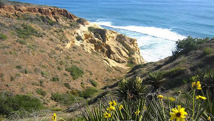 Torrey Pines State Reserve San Diego