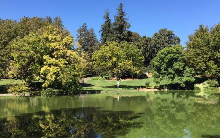 UC Davis Arboretum