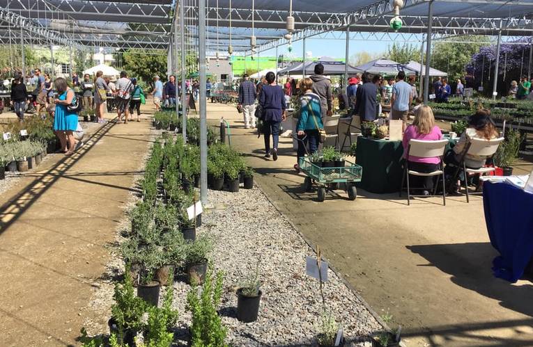 UC Davis Arboretum Plant Sale