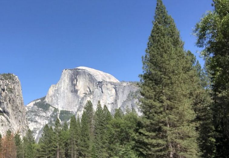 View from Upper Pines Campground