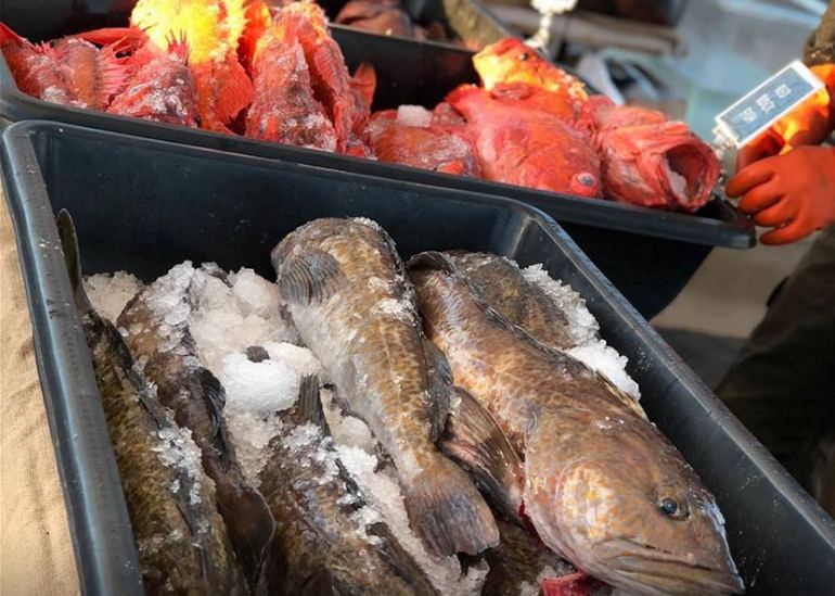 Ventura Harbor Dockside Fish Market