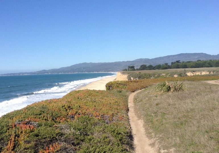 Wavecrest Open Space Preserve