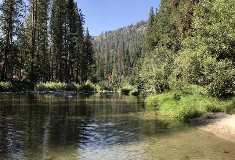 Wawona Campground