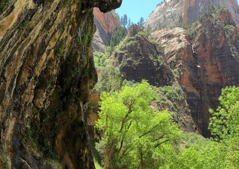 Weeping Rock Trail