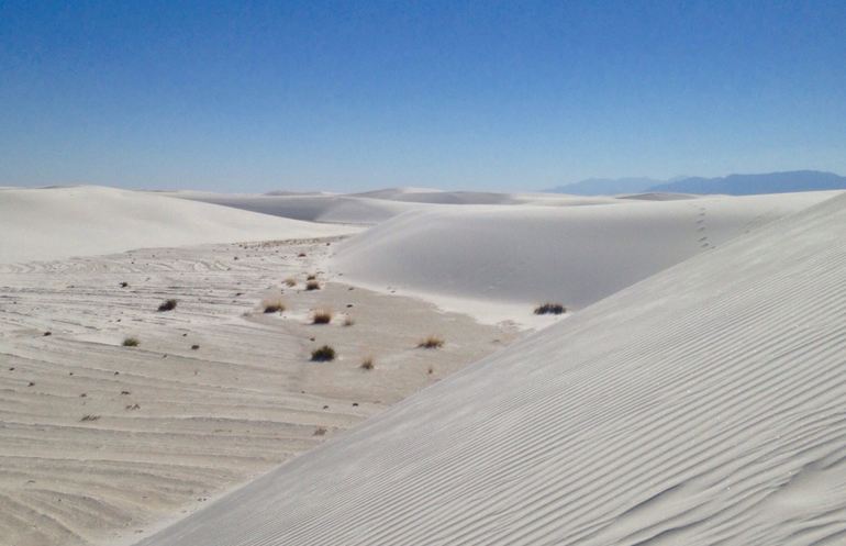 Gypsum Crystal Dunes