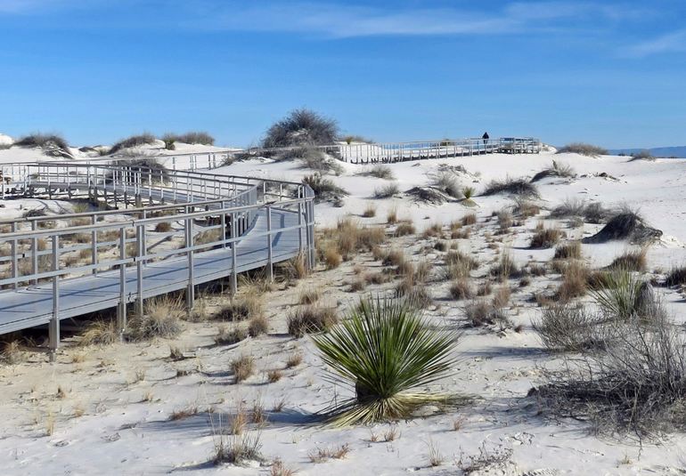 Interdune Boardwalk