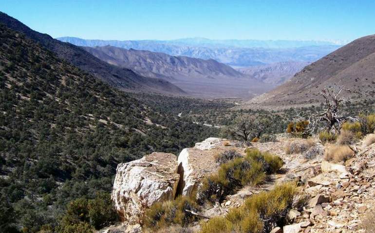 Wildrose Peak Trail