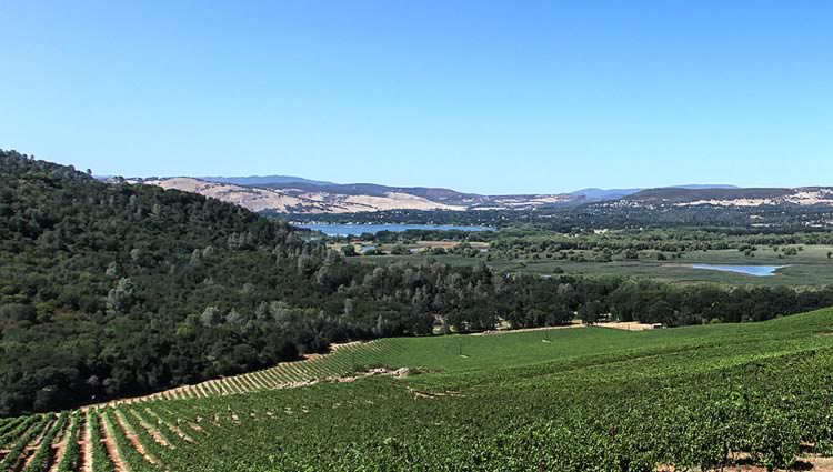 Winery near Clear Lake California