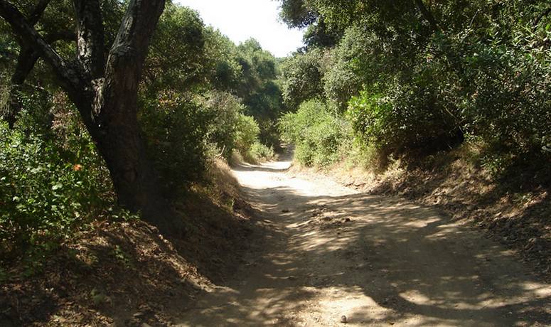 Wood Canyon Trail