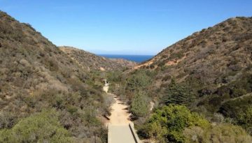 Wrigley Botanical Gardens Catalina Island