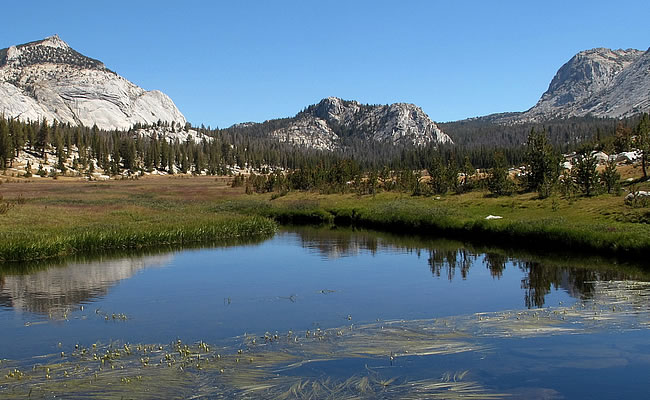 Camping Yosemite National Park